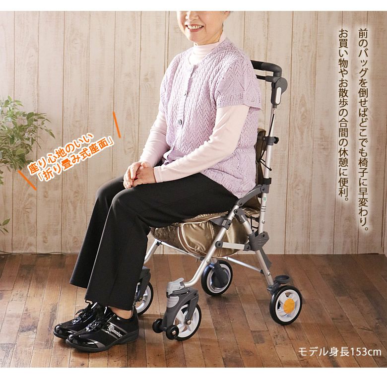シルバーカー キャリースルーンXL（保冷機能付） | キテコ byTCマート
