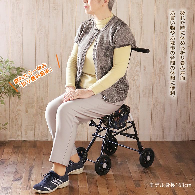 シルバーカー Amazon | 島製作所 湖乃愛シリーズ シルバーカー (BK219267) | 島